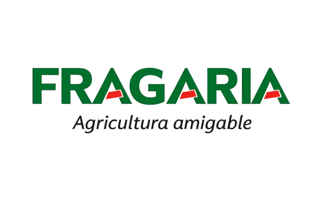 Fragaria transparente